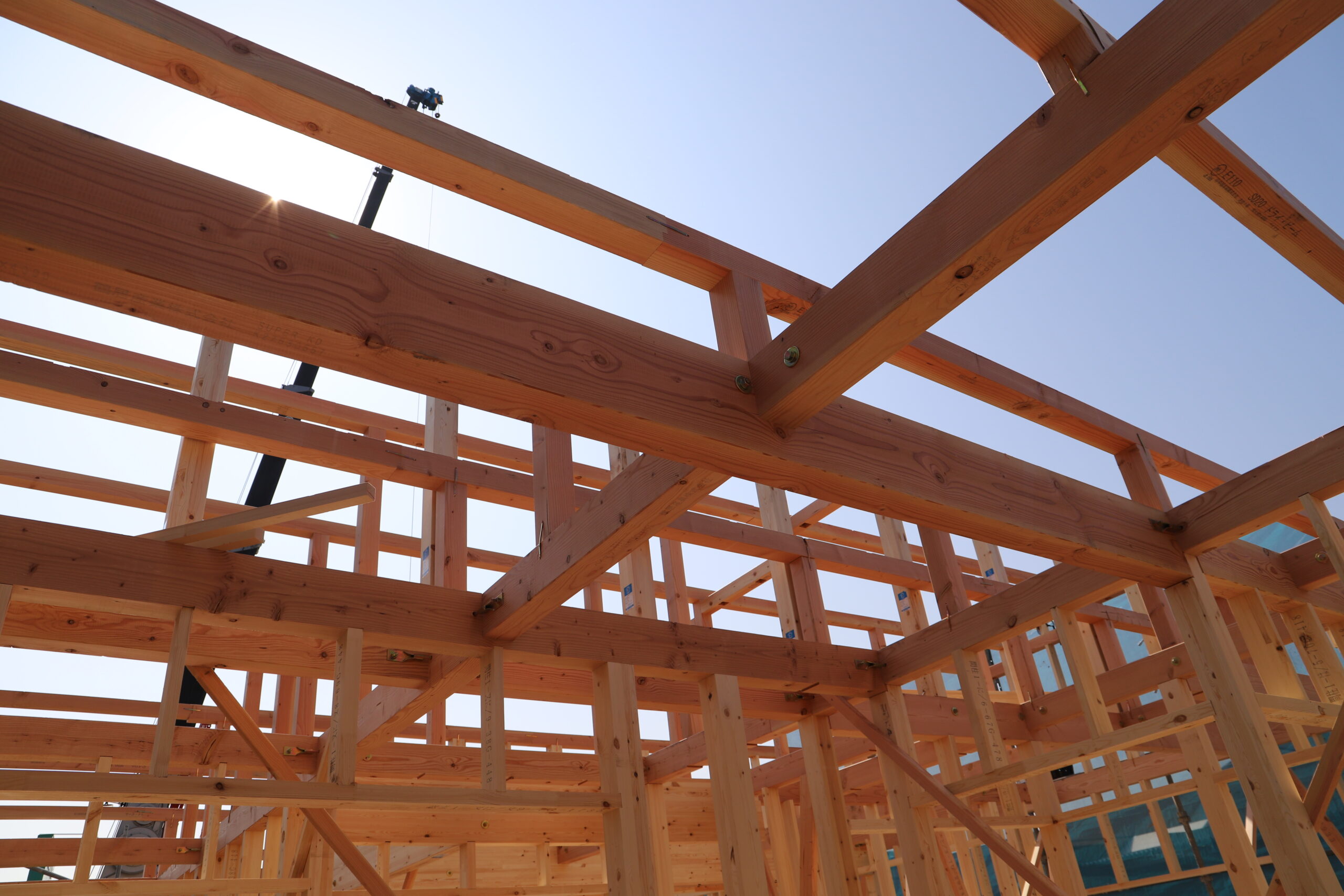 12本のバラの意味とは・・・