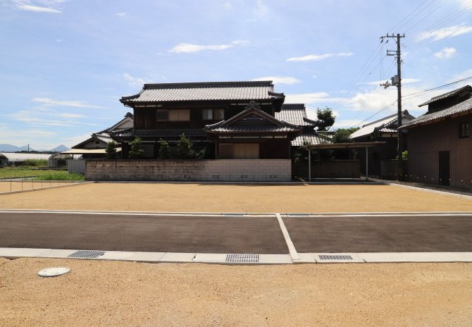 6号地　北から