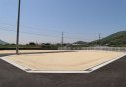 11号地　北東から