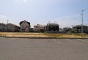 東から撮影