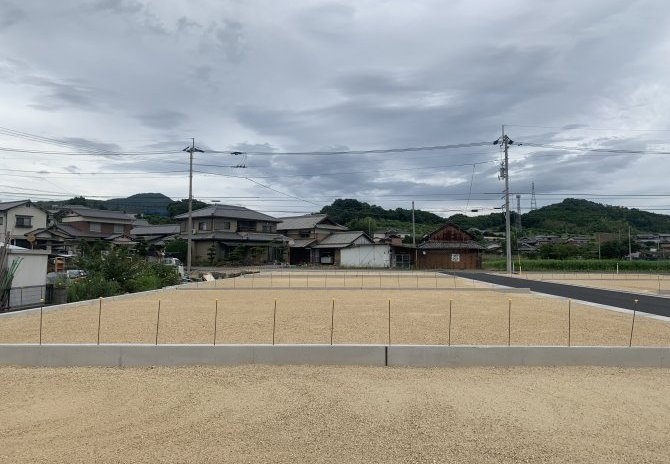 3号地　西より