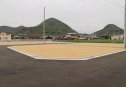 7号地　北東から撮影