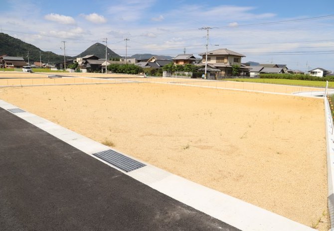 6号地　南東から