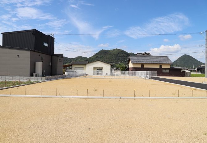 11号地　東から