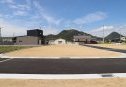12号地　東から