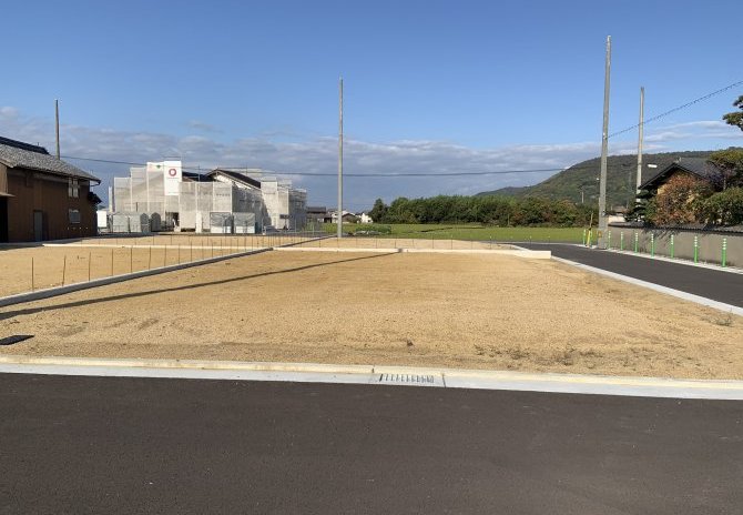 3号地　南より