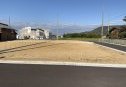3号地　南より
