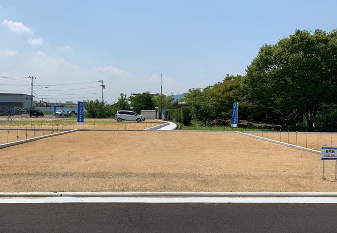 6号地　北から