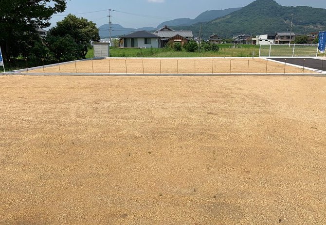6号地　東から