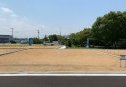 6号地　北から