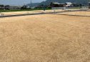 6号地　南西から