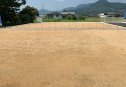 6号地　東から