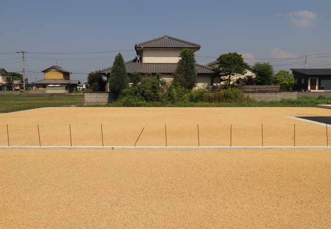 3号地　西から