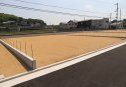 11号地　北東から