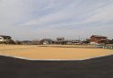3号地　南東から