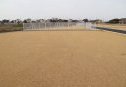 16号地　東から