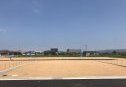 73号地　南から