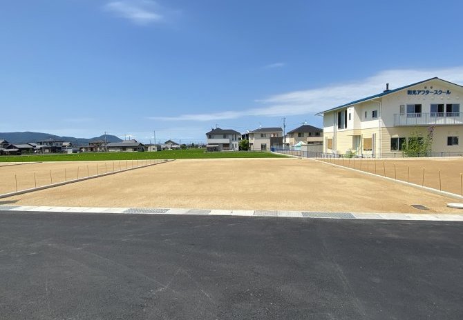 11号地　南より
