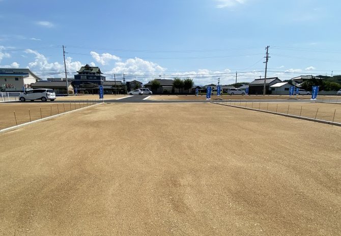 11号地　北より