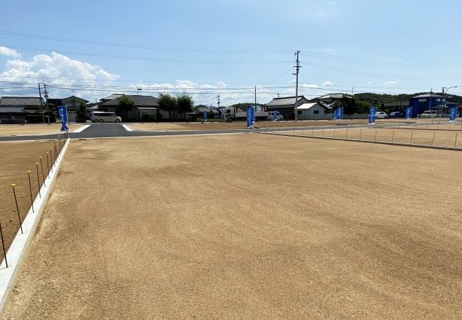 11号地　北東より