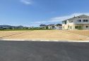 11号地　南より