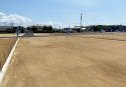 11号地　北東より