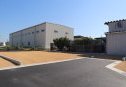 3号地　北東から