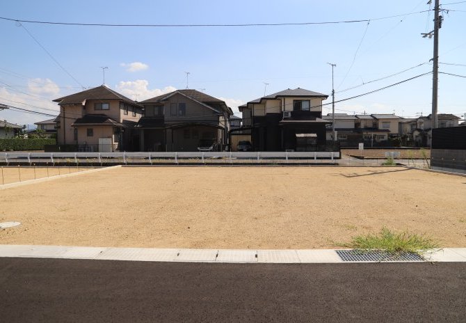 10号地　北から