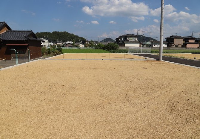 3号地　西から