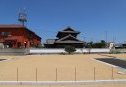7号地　西から