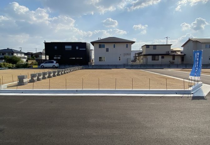 6号地　北から