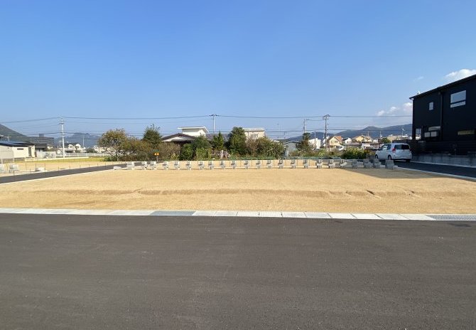 6号地　西から