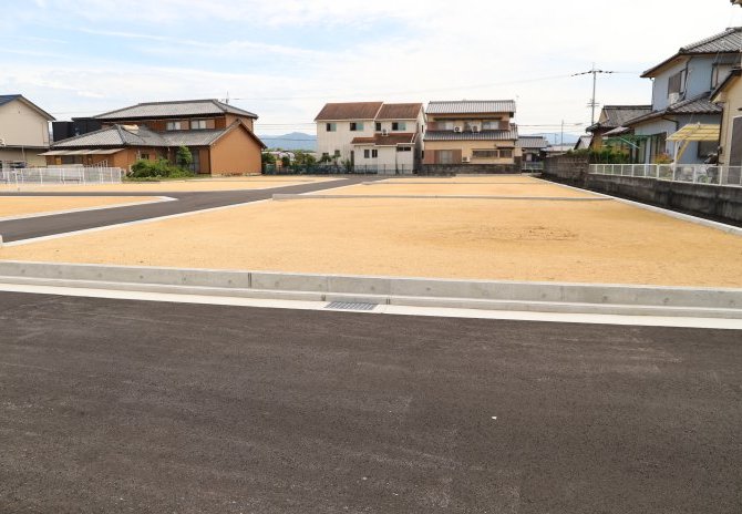 10号地　北から