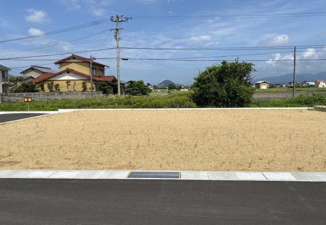 20号地　西より