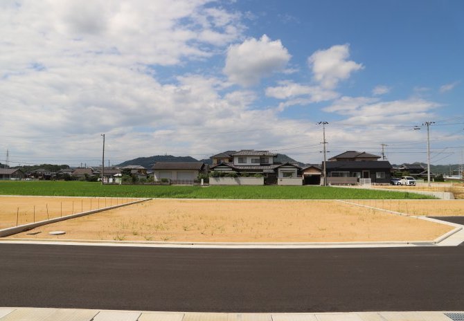 6号地　南から