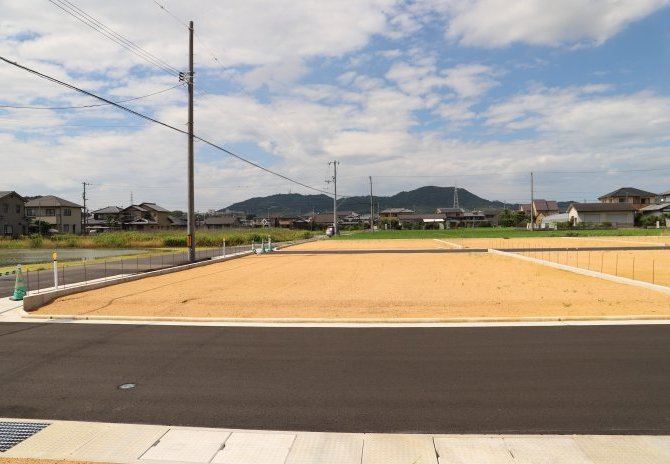 10号地　南から
