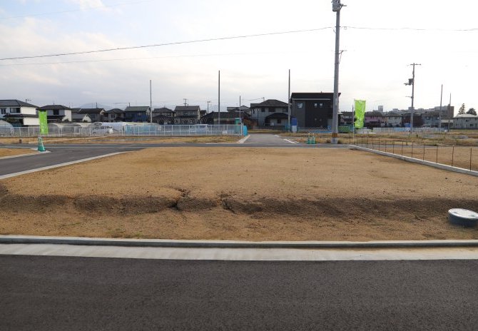 8号地　北から
