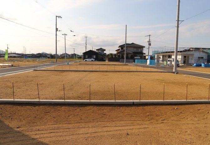 11号地　東から