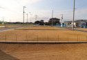 11号地　東から