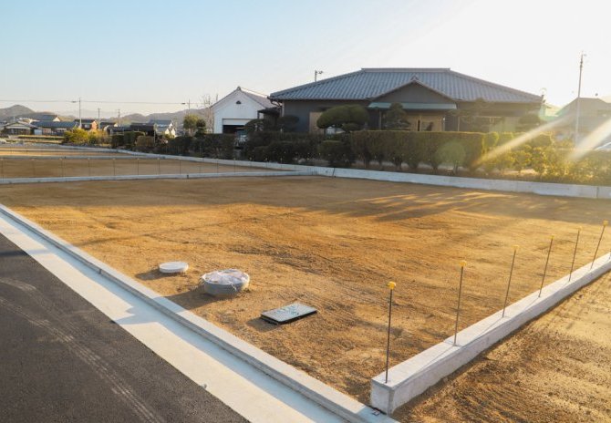 5号地　北から