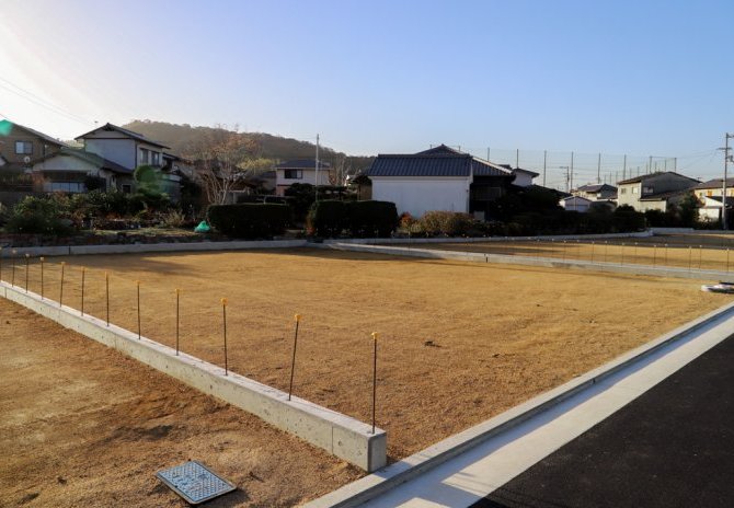 8号地　東から