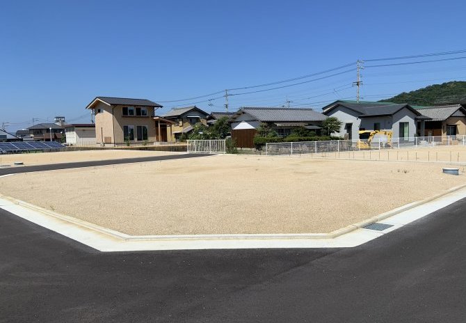 6号地　南西から