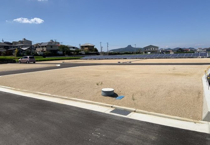6号地　南東から