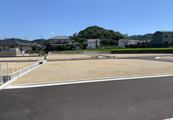 6号地　北から