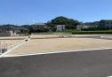6号地　北から