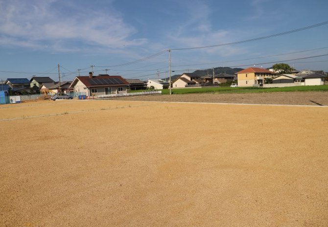 11号地　南西から