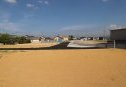 2号地　西から