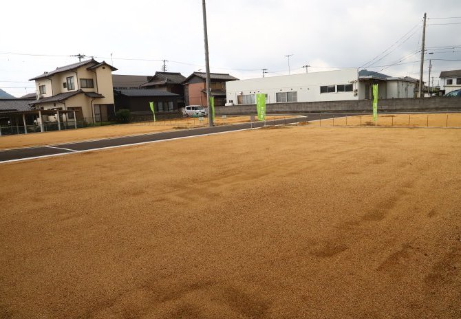 3号地　北東から
