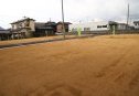 3号地　北東から