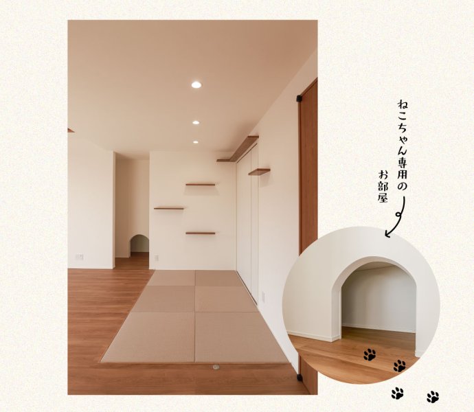 ペット 猫 家づくり